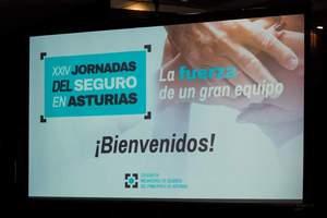 Jornada del Seguro en Asturias 2019