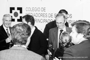 Brindis solidario Colegio de Mediadores de seguros de Asturias 2015