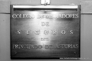 Brindis solidario Colegio de Mediadores de seguros de Asturias 2015
